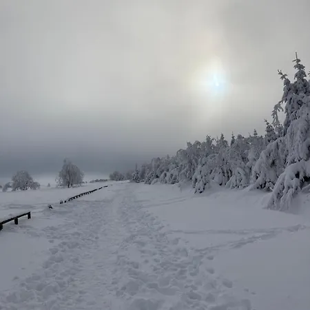 Domek alpejski Terrasses De L'undeuxtrois